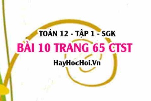 Bài 10 trang 65 Toán 12 tập 1 Chân trời sáng tạo